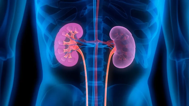 doctor showing early signs of kidney damage in patient