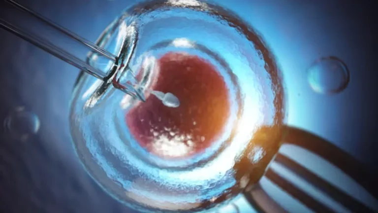 Home IVF consultation example
