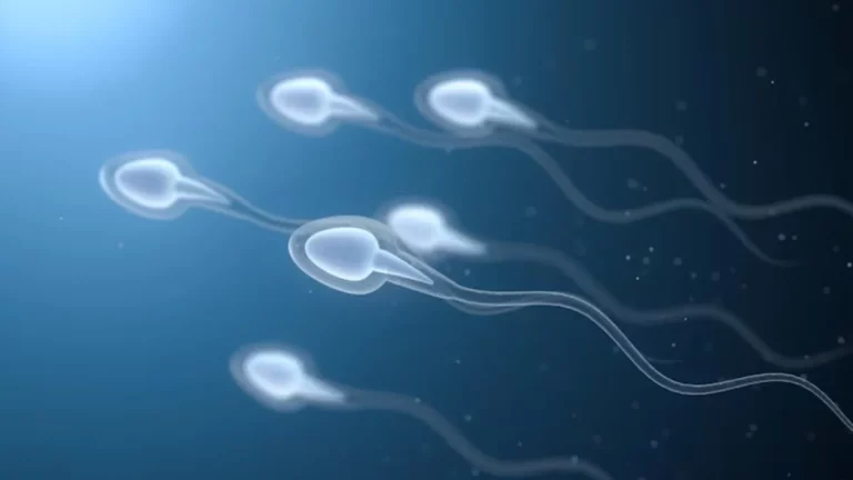 PTFE and fertility risks in humans