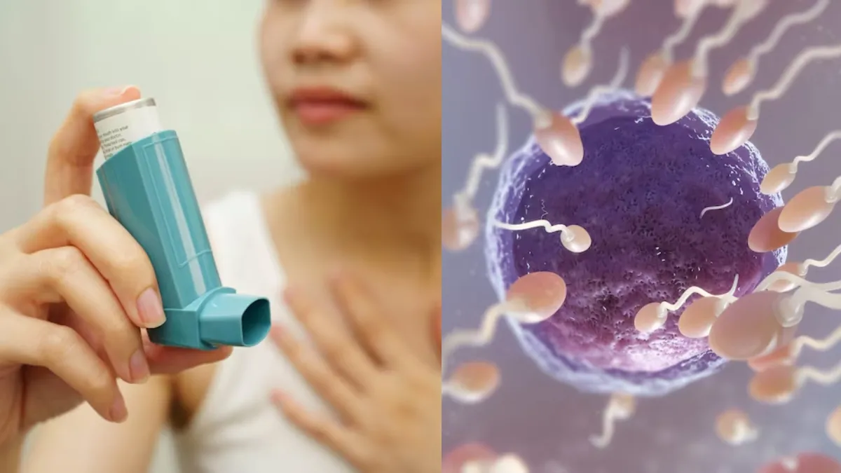 Wheezing And Waiting: Can Asthma Delay Fertility In All Women?
